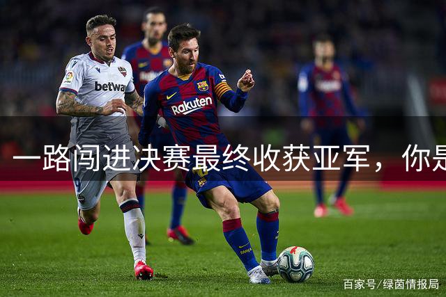 一路闯进决赛最终收获亚军，你是如何评价他们的表现？