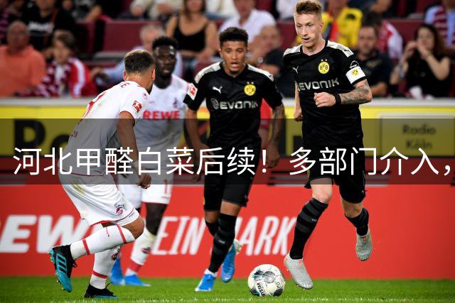 河北甲醛白菜后续！多部门介入，第三车被扣，甲醛成本曝光太意外