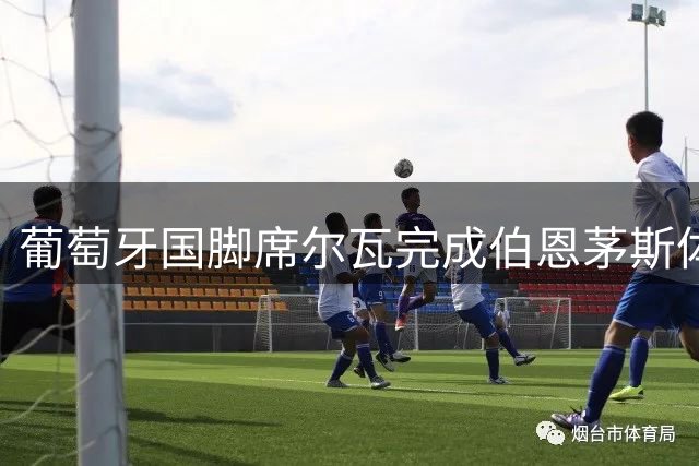葡萄牙国脚席尔瓦完成伯恩茅斯体检 创下俱乐部引援新纪录